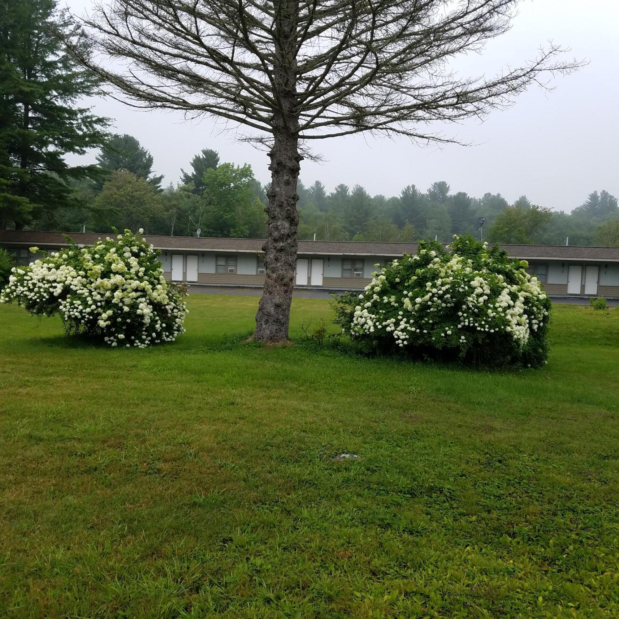 The Becket Motel Bagian luar foto